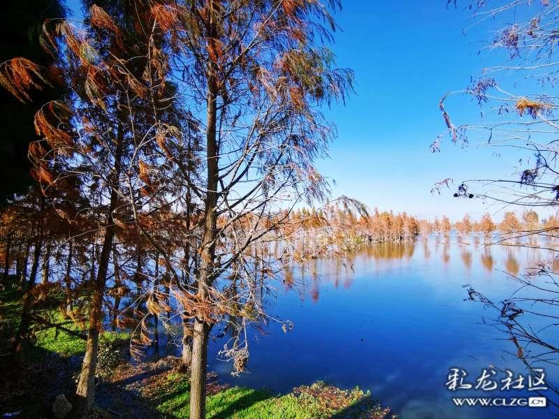 内蒙古广东等10省区局地降温可超过18℃!中央气象台发布寒潮蓝色预警